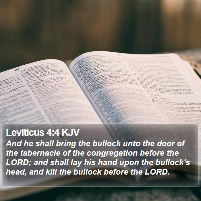 Leviticus 4:4 KJV - And he shall bring the bullock unto the door of - Bible Verse Picture