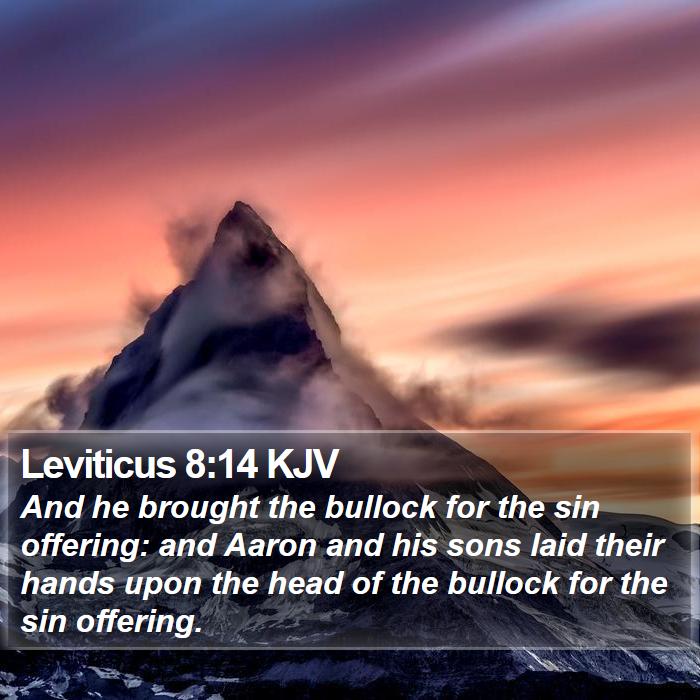 Leviticus 8:14 KJV - And he brought the bullock for the sin offering: - Bible Verse Picture