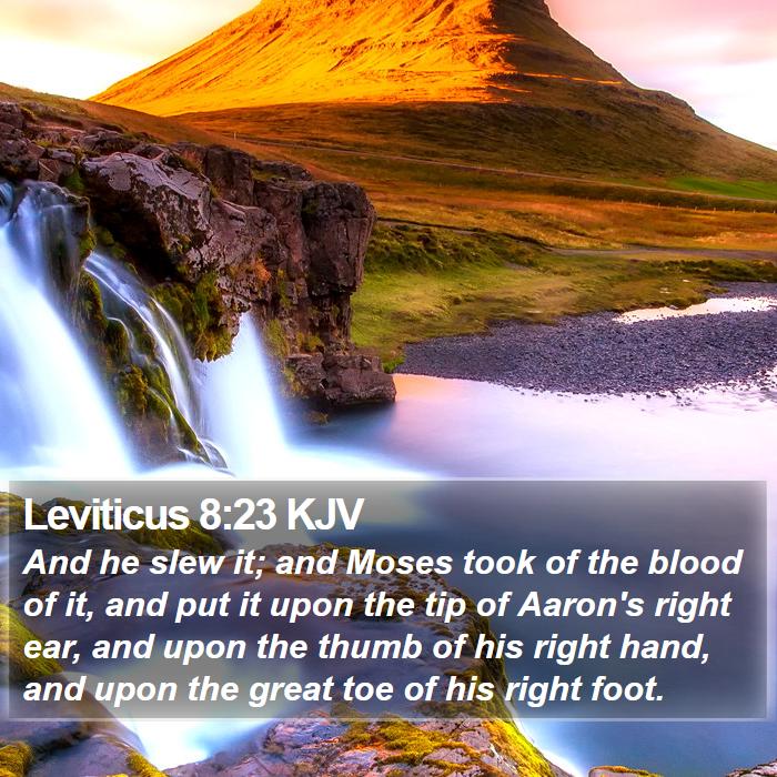 Leviticus 8:23 KJV - And he slew it; and Moses took of the blood of - Bible Verse Picture
