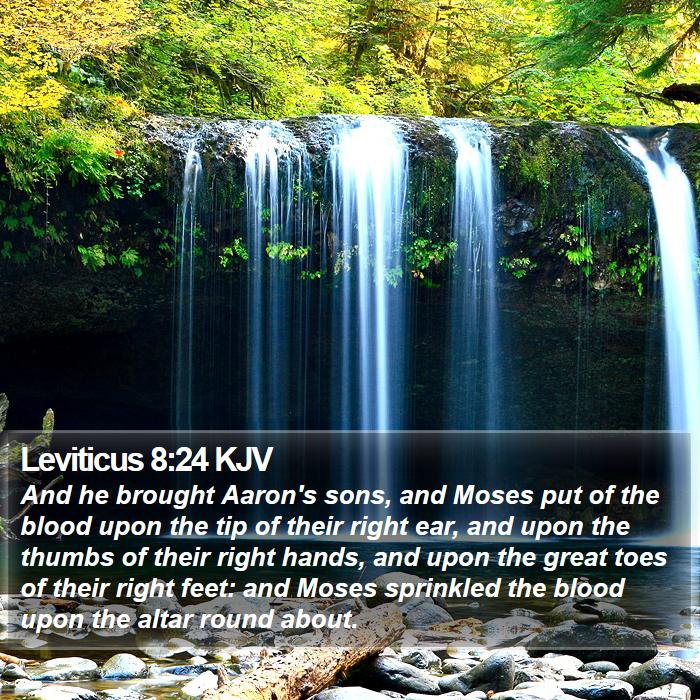 Leviticus 8:24 KJV - And he brought Aaron's sons, and Moses put of the - Bible Verse Picture