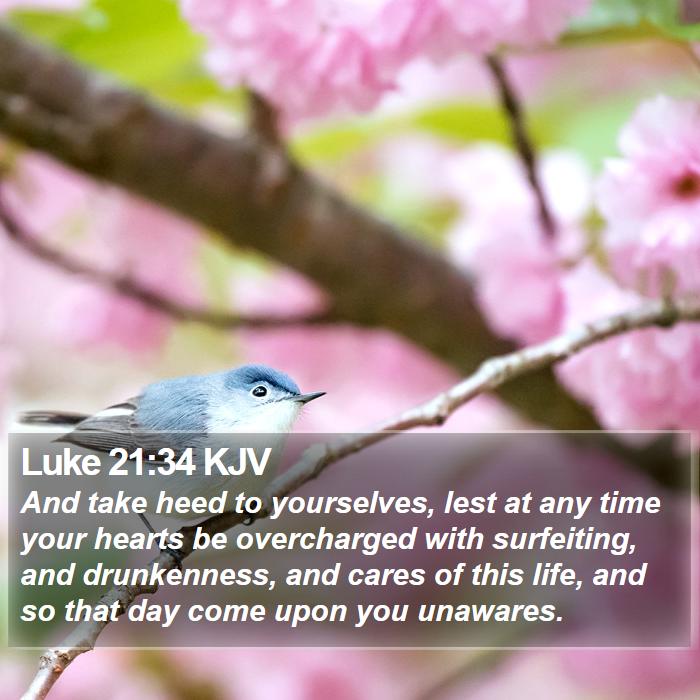 Luke 21:34 KJV - And take heed to yourselves, lest at any time - Bible Verse Picture