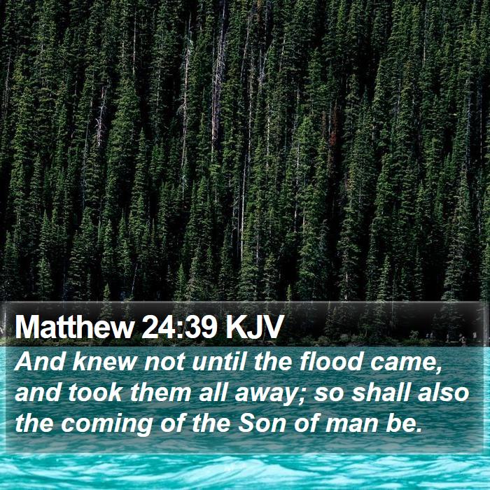 Matthew 24:39 KJV - And knew not until the flood came, and took them - Bible Verse Picture