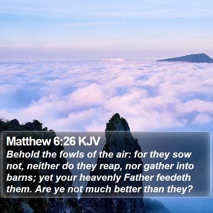 Matthew 6:26 KJV - Behold the fowls of the air: for they sow not,