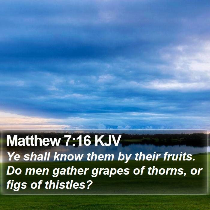Matthew 7:16 KJV - Ye shall know them by their fruits. Do men gather - Bible Verse Picture
