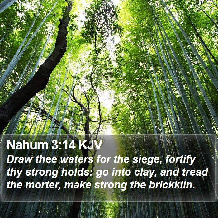 Nahum 3:14 KJV - Draw thee waters for the siege, fortify thy - Bible Verse Picture