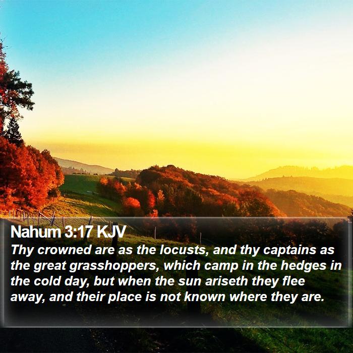 Nahum 3:17 KJV - Thy crowned are as the locusts, and thy captains - Bible Verse Picture
