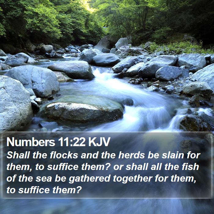 Numbers 11:22 KJV - Shall the flocks and the herds be slain for them, - Bible Verse Picture