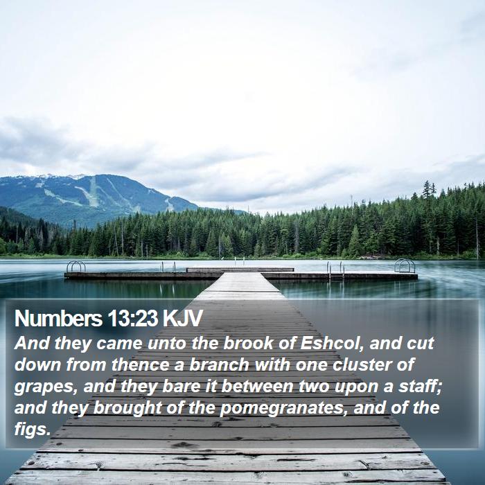 Numbers 13:23 KJV - And they came unto the brook of Eshcol, and cut - Bible Verse Picture