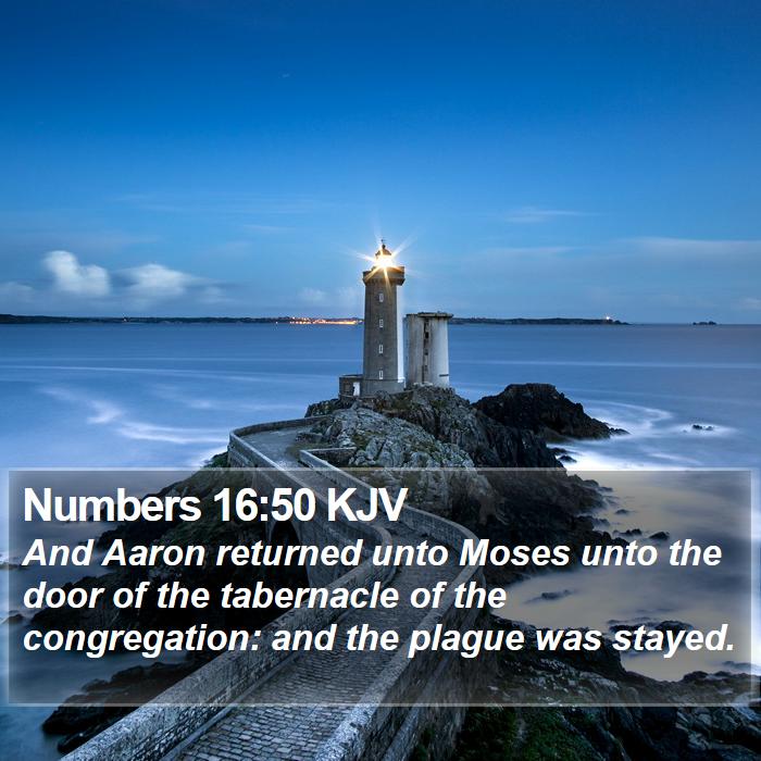 Numbers 16:50 KJV - And Aaron returned unto Moses unto the door of - Bible Verse Picture