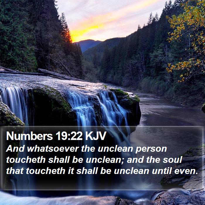 Numbers 19:22 KJV - And whatsoever the unclean person toucheth shall - Bible Verse Picture