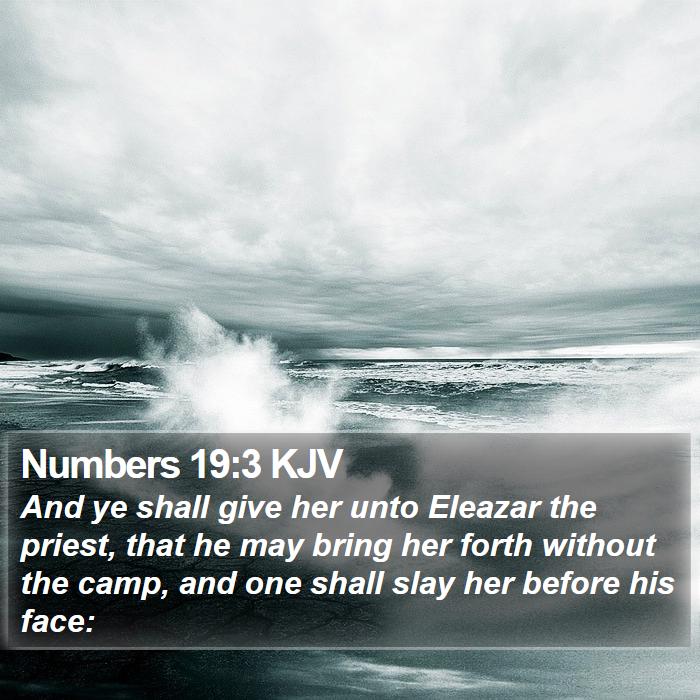 Numbers 19:3 KJV - And ye shall give her unto Eleazar the priest, - Bible Verse Picture