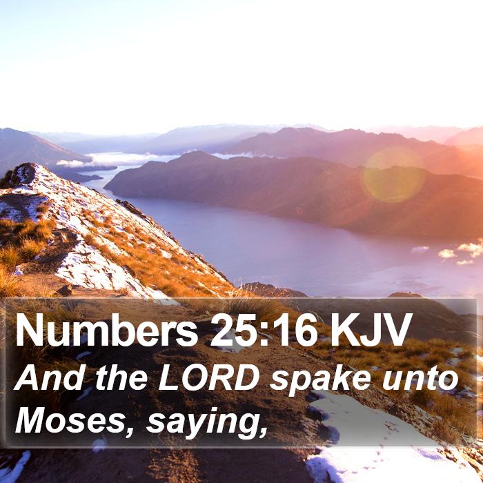 Numbers 25:16 KJV - And the LORD spake unto Moses, - Bible Verse Picture