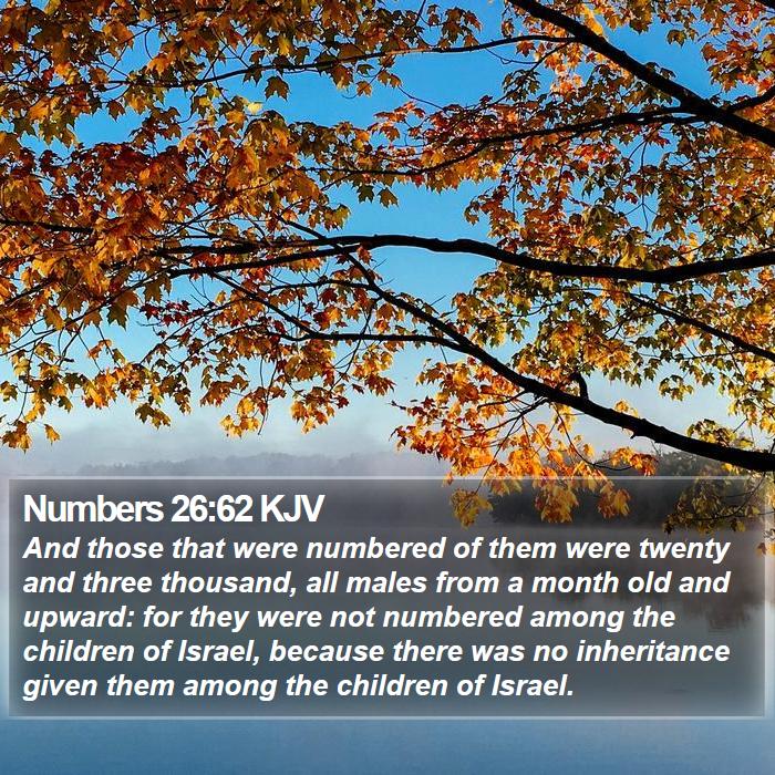 Numbers 26:62 KJV - And those that were numbered of them were twenty - Bible Verse Picture
