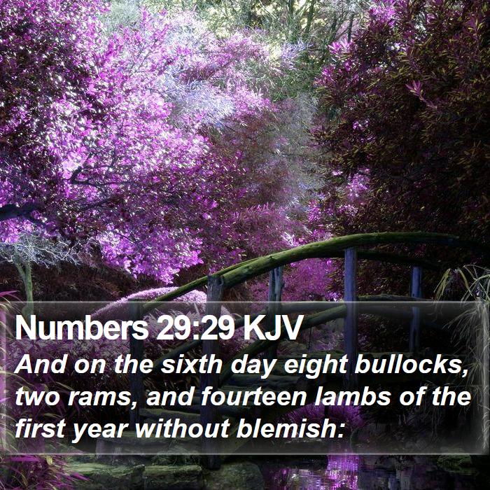 Numbers 29:29 KJV - And on the sixth day eight bullocks, two rams, - Bible Verse Picture