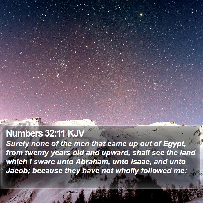 Numbers 32:11 KJV - Surely none of the men that came up out of Egypt, - Bible Verse Picture