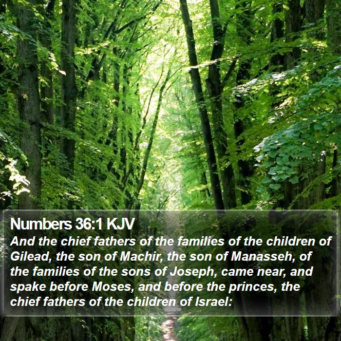 Numbers 36:1 KJV - And the chief fathers of the families of the - Bible Verse Picture