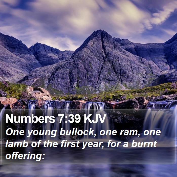 Numbers 7:39 KJV - One young bullock, one ram, one lamb of the first - Bible Verse Picture