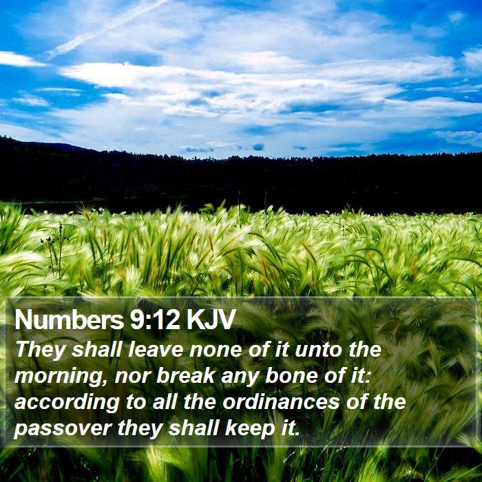 Numbers 9:12 KJV - They shall leave none of it unto the morning, nor - Bible Verse Picture