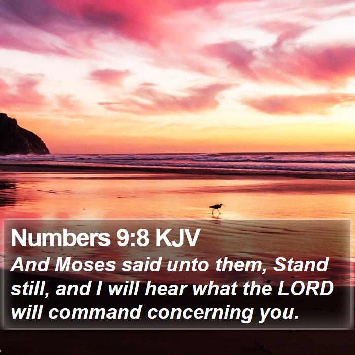 Numbers 9:8 KJV - And Moses said unto them, Stand still, and I will - Bible Verse Picture
