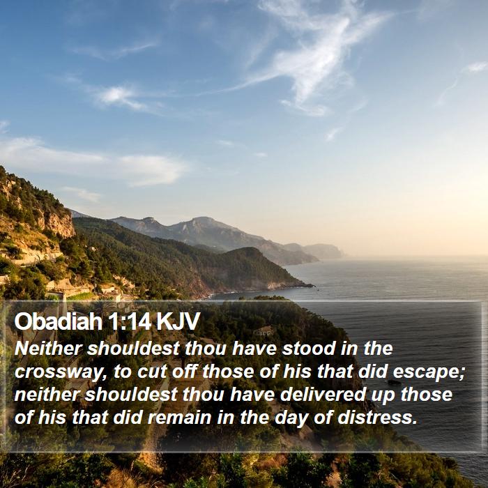 Obadiah 1:14 KJV - Neither shouldest thou have stood in the - Bible Verse Picture