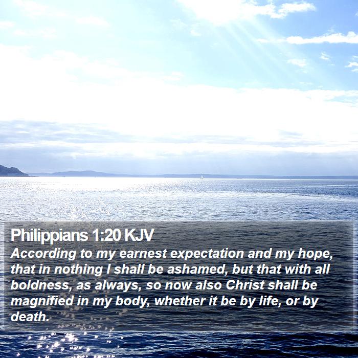 Philippians 1:20 KJV - According to my earnest expectation and my hope, - Bible Verse Picture