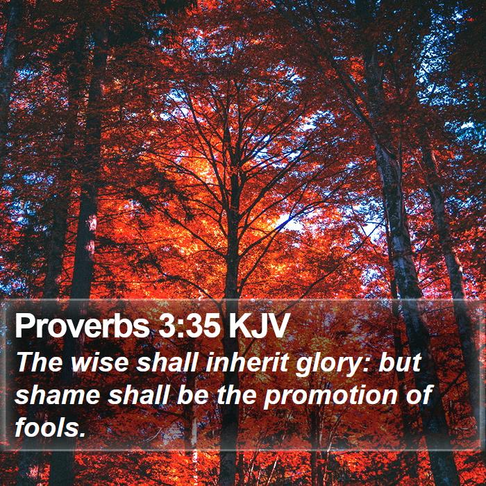 Proverbs 3:35 KJV - The wise shall inherit glory: but shame shall be - Bible Verse Picture