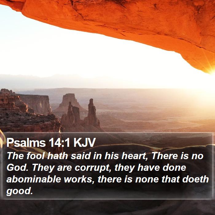 Psalms 14:1 KJV - The fool hath said in his heart, There is no God. - Bible Verse Picture