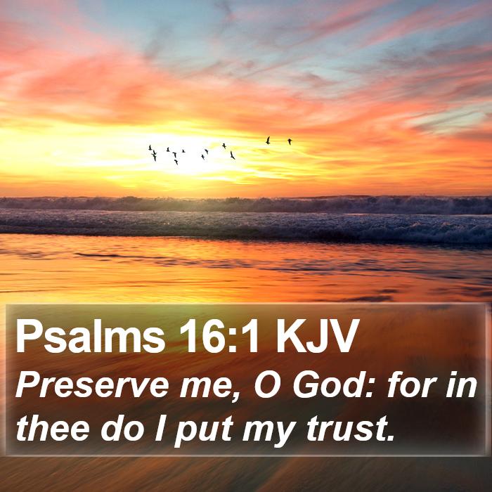 Psalms 16:1 KJV - Preserve me, O God: for in thee do I put my - Bible Verse Picture