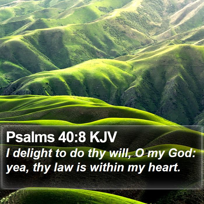 Psalms 40 8 KJV I delight to do thy will O my God yea thy law I19040008 L01