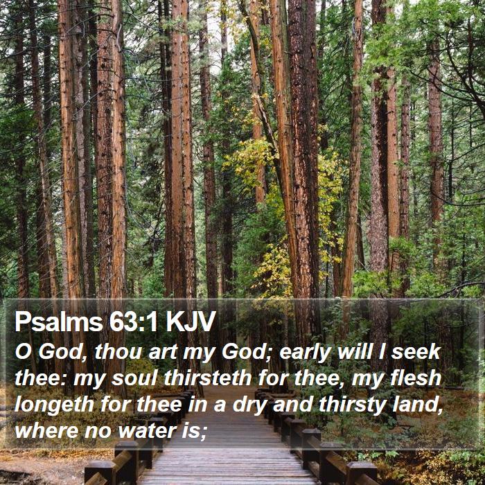 Psalms 63:1 KJV - O God, thou art my God; early will I seek thee: - Bible Verse Picture