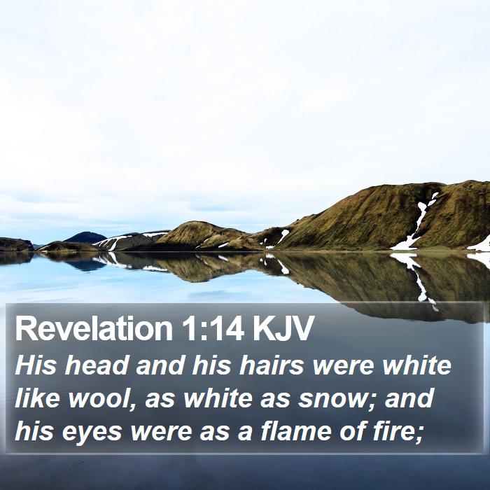 Revelation 1:14 KJV - His head and his hairs were white like wool, as - Bible Verse Picture