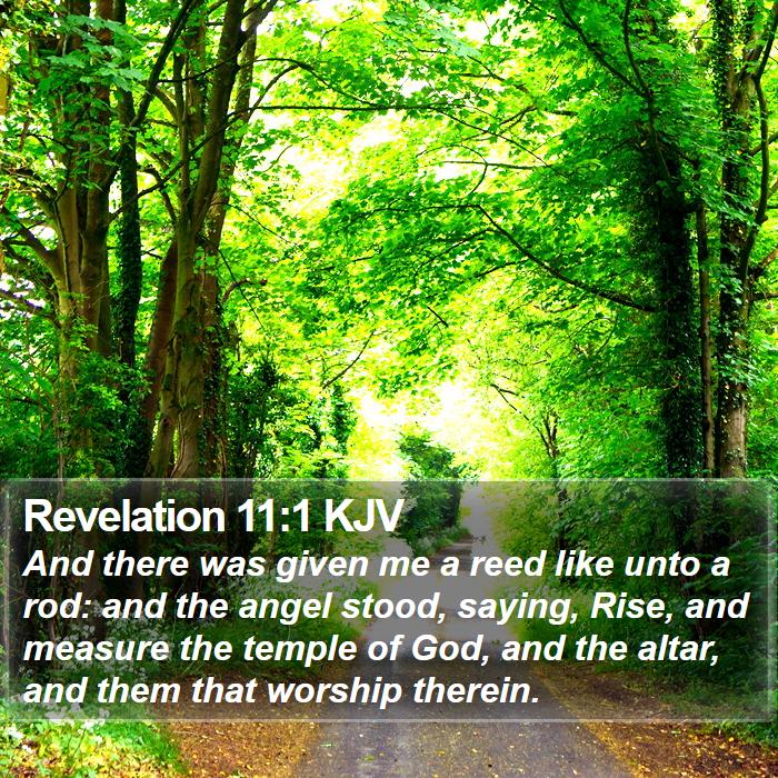 Revelation 11:1 KJV - And there was given me a reed like unto a rod: - Bible Verse Picture