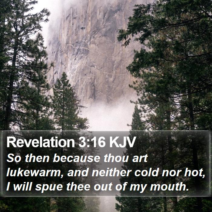 Revelation 3:16 KJV - So then because thou art lukewarm, and neither - Bible Verse Picture