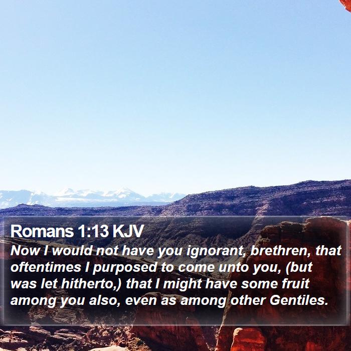 Romans 1:13 KJV - Now I would not have you ignorant, brethren, that - Bible Verse Picture