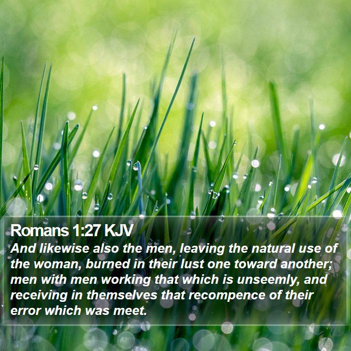 Romans 1:27 KJV - And likewise also the men, leaving the natural - Bible Verse Picture