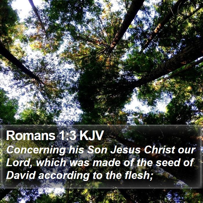Romans 1:3 KJV - Concerning his Son Jesus Christ our Lord, which - Bible Verse Picture