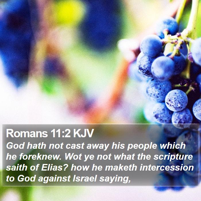Romans 11:2 KJV - God hath not cast away his people which he - Bible Verse Picture
