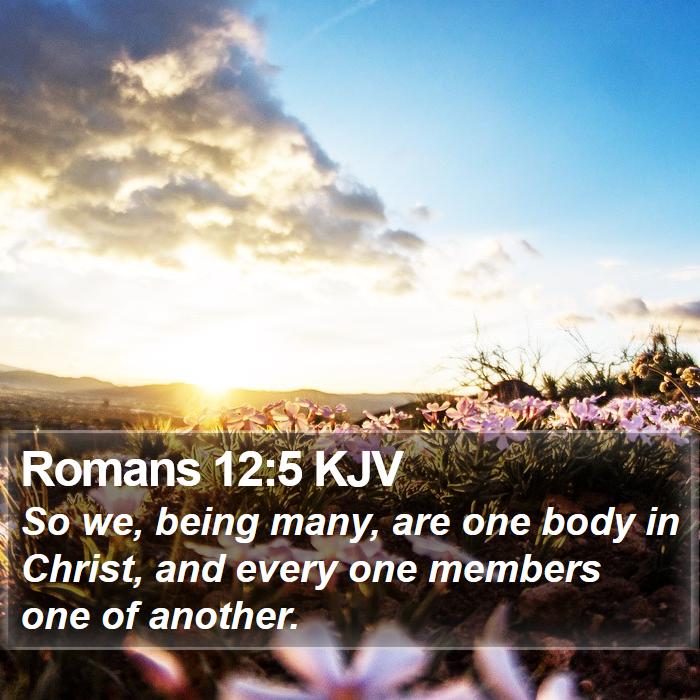 Romans 12:5 KJV - So we, being many, are one body in Christ, and - Bible Verse Picture