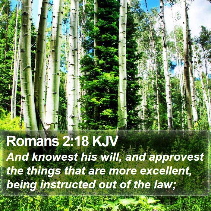 Romans 2:18 KJV - And knowest his will, and approvest the things - Bible Verse Picture
