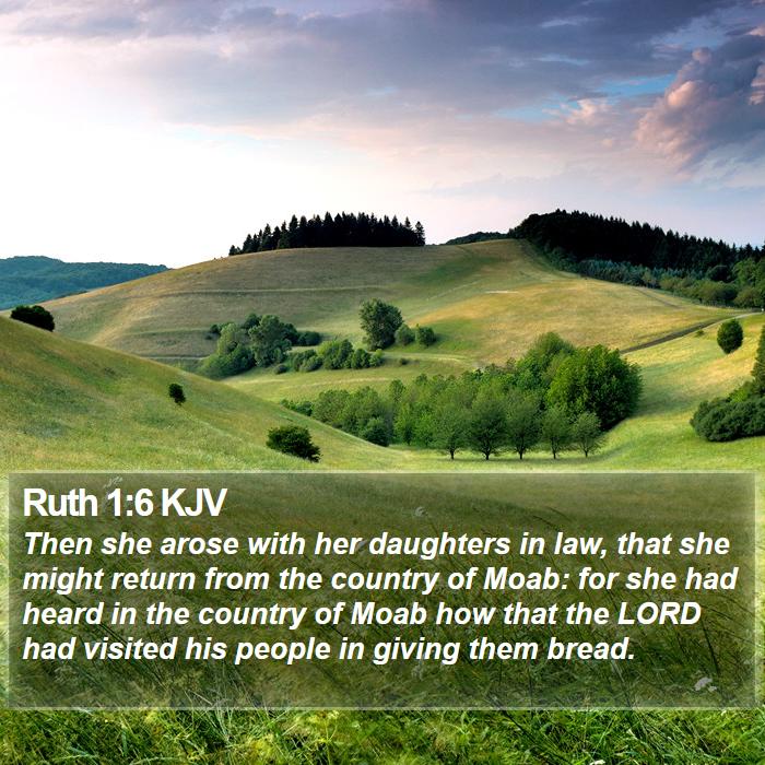 Ruth 1:6 KJV - Then she arose with her daughters in law, that - Bible Verse Picture