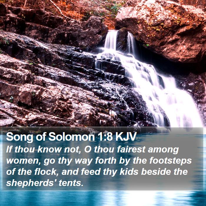 Song of Solomon 1:8 KJV - If thou know not, O thou fairest among women, go - Bible Verse Picture