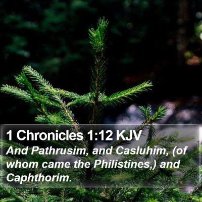 1 Chronicles 1:12 KJV Bible Verse Image