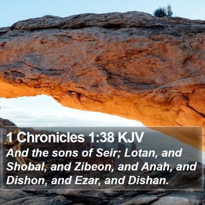 1 Chronicles 1:38 KJV Bible Verse Image