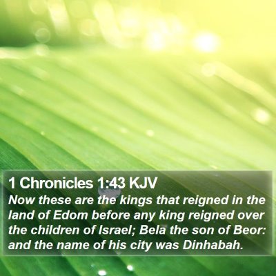 1 Chronicles 1:43 KJV Bible Verse Image