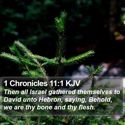 1 Chronicles 11:1 KJV Bible Verse Image