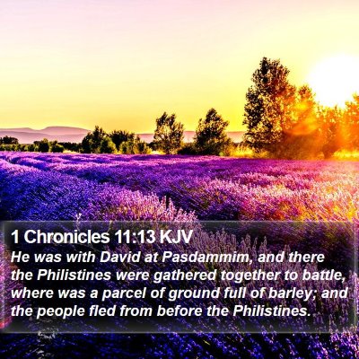 1 Chronicles 11:13 KJV Bible Verse Image