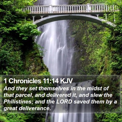 1 Chronicles 11:14 KJV Bible Verse Image