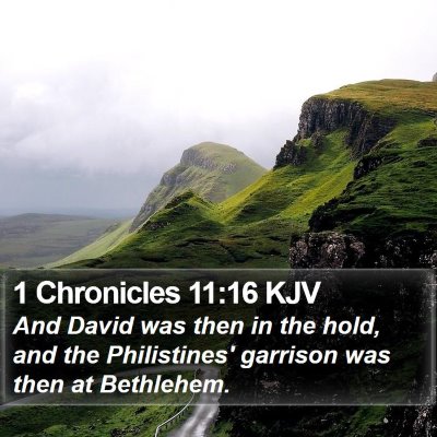 1 Chronicles 11:16 KJV Bible Verse Image