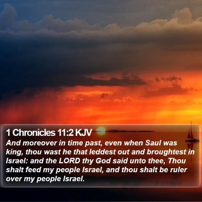 1 Chronicles 11:2 KJV Bible Verse Image