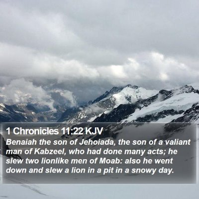1 Chronicles 11:22 KJV Bible Verse Image